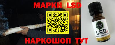 дмт Обь