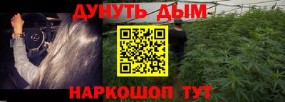 дмт Обь