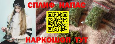 дмт Обь