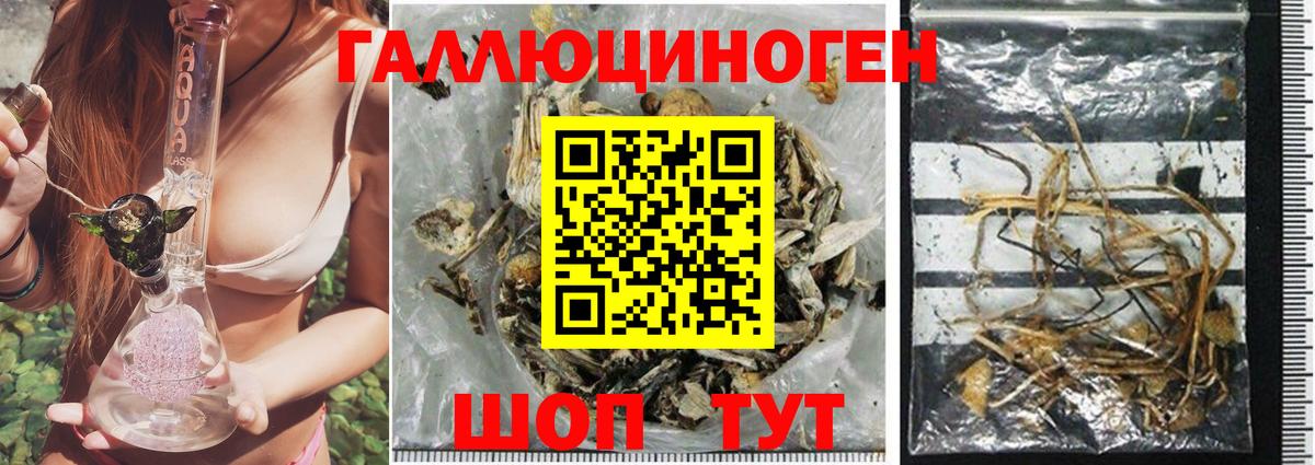 Галлюциногенные грибы Cubensis  Галлюциногенные грибы Psilocybe  Вход с VPN  Похвистнево 